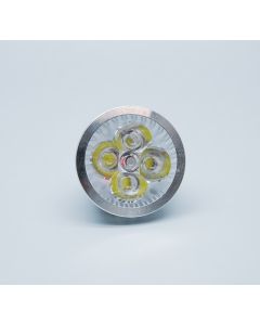 12VDC LED Bulb